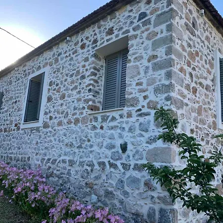 παραδοσιακή *