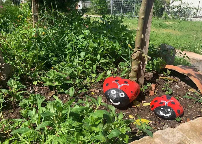 παραδοσιακή Dom wakacyjny