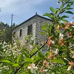 παραδοσιακή Kalivia (Skiathos)