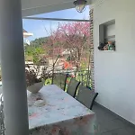 παραδοσιακή *