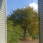 παραδοσιακή Kalivia (Skiathos)