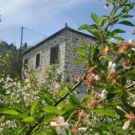 παραδοσιακή Kalivia (Skiathos)