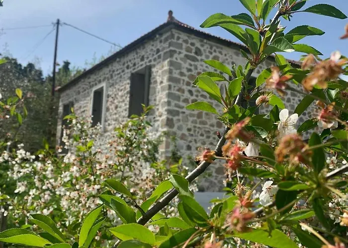 παραδοσιακή Kalivia (Skiathos)