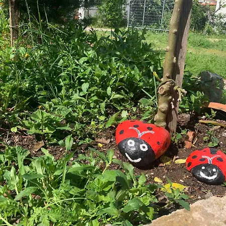 παραδοσιακή Casa vacanze