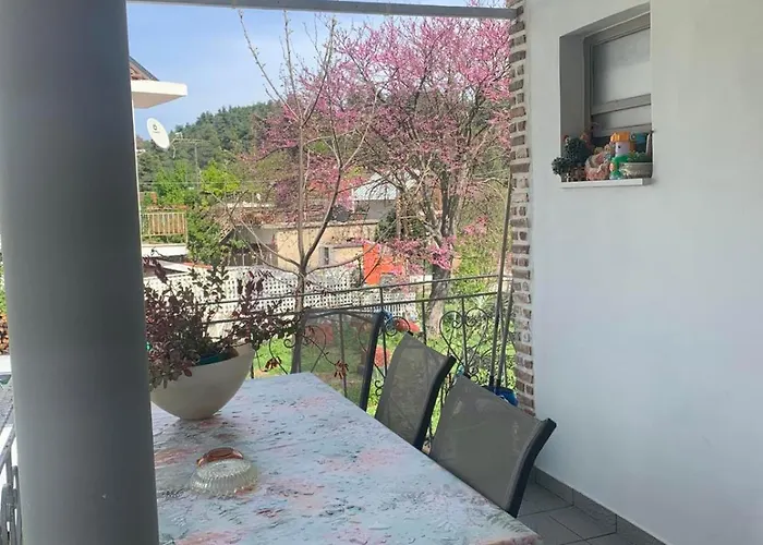 παραδοσιακή *