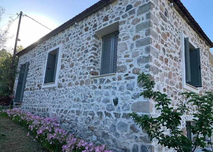 παραδοσιακή *