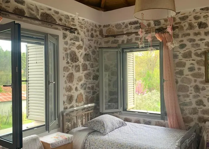 παραδοσιακή